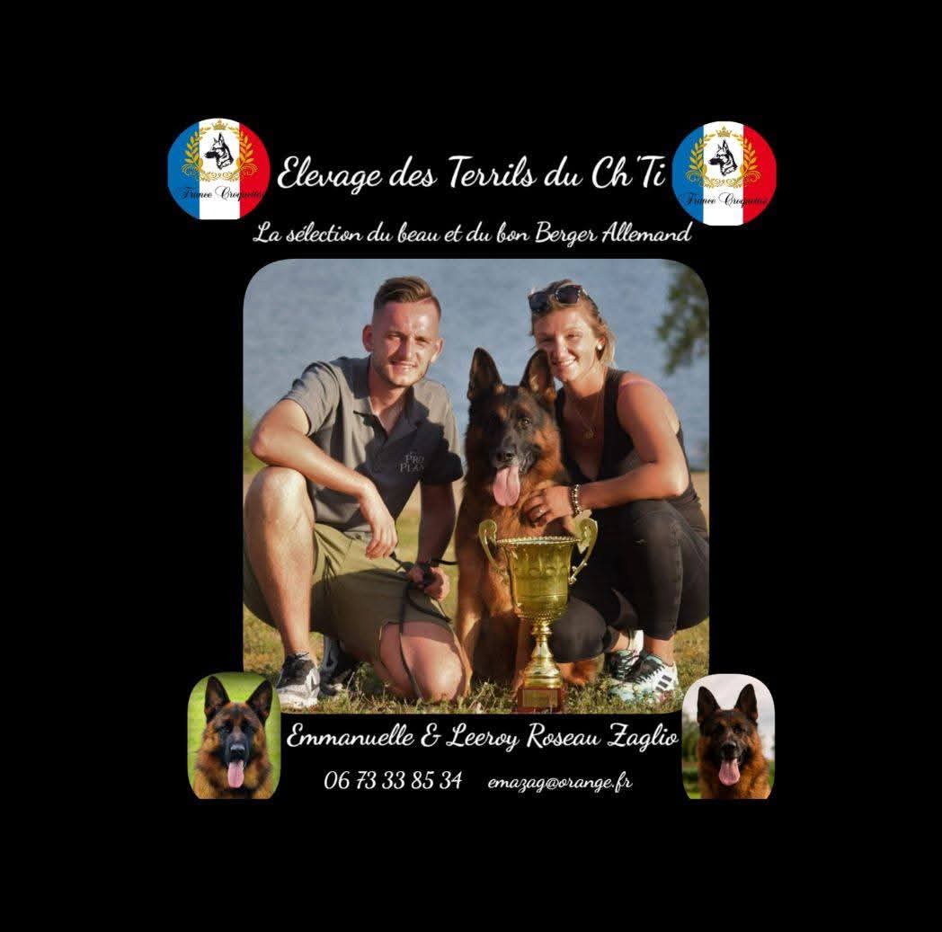des Terrils du Ch’ti